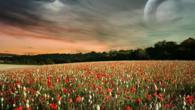 非计算机专业,好奇为什么会出现“程序依赖bug运行”的情况?